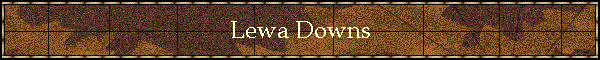 Lewa Downs