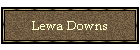 Lewa Downs