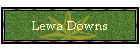 Lewa Downs